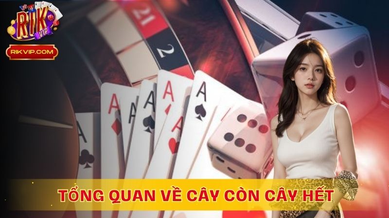 Tổng quan về cây còn cây hết tại RikVip