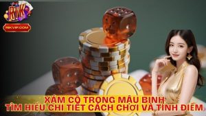 Xám Cô Là Gì Trong Mậu Binh? Tìm Hiểu Cách Chơi và Cách Tính Điểm