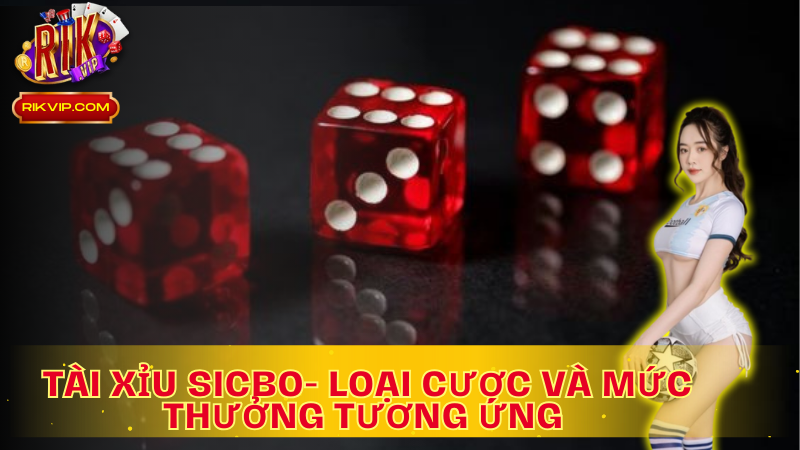 Mỗi loại loại cược trong Tài Xỉu Scbo mang đến những mức thưởng khác nhau