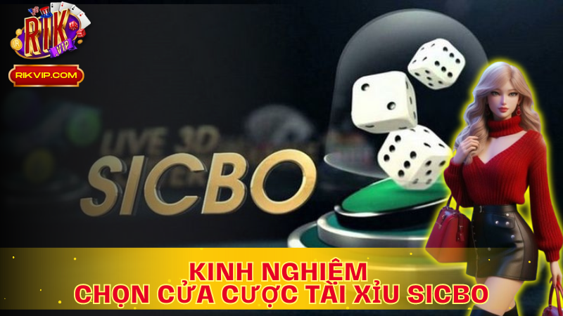Áp dụng kinh nghiệm chọn cửa cược Tài xỉu Sicbo để ván cược đạt kết quản như ý 