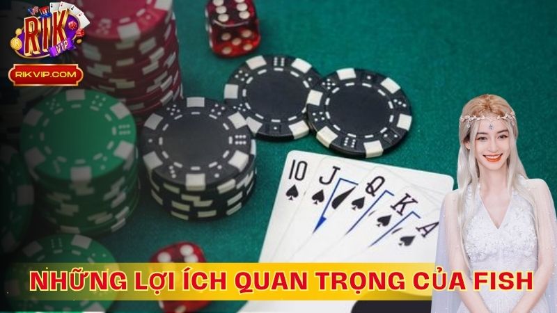 Những lợi ích quan trọng của Fish